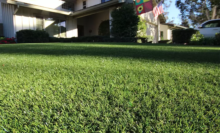 Buy Artificial Grass | National Synthetic Turf Supplier