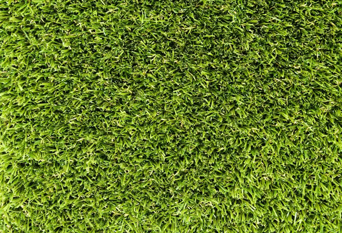Buy Artificial Grass | National Synthetic Turf Supplier