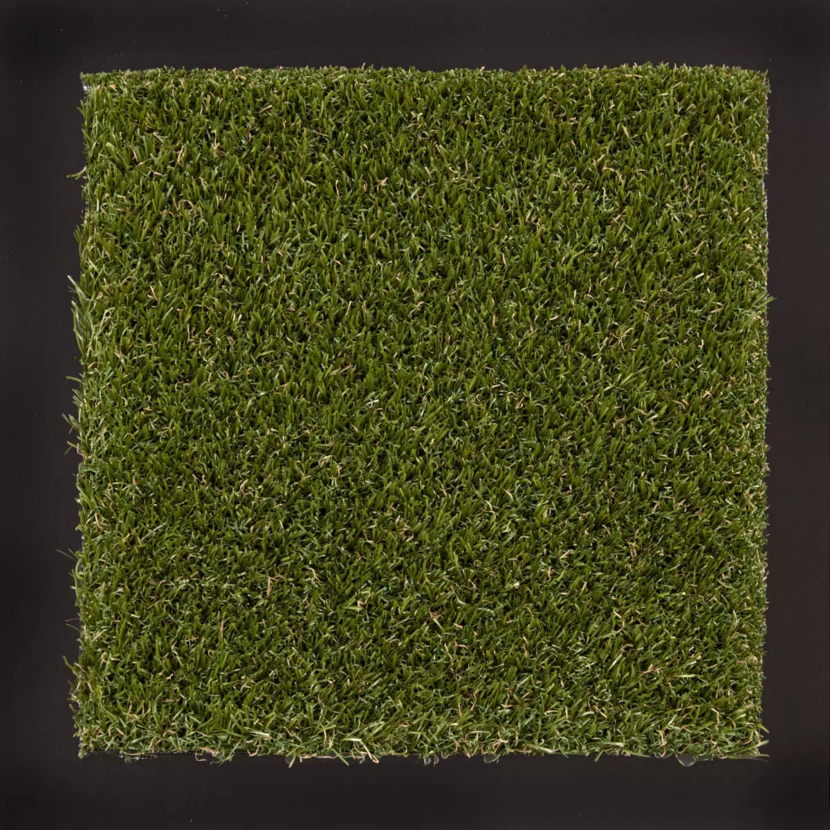 pedigree-synthetic-turf