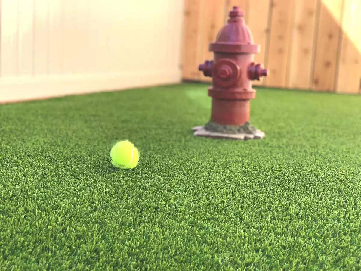 pet-turf-kennel-pro