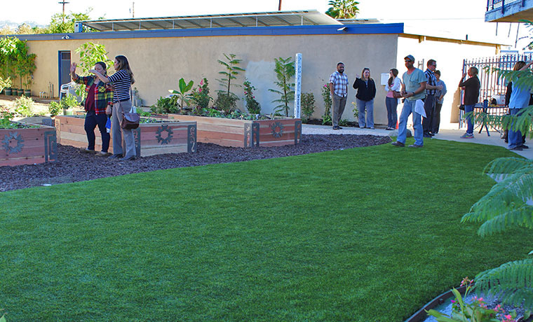 Buy Artificial Grass | National Synthetic Turf Supplier