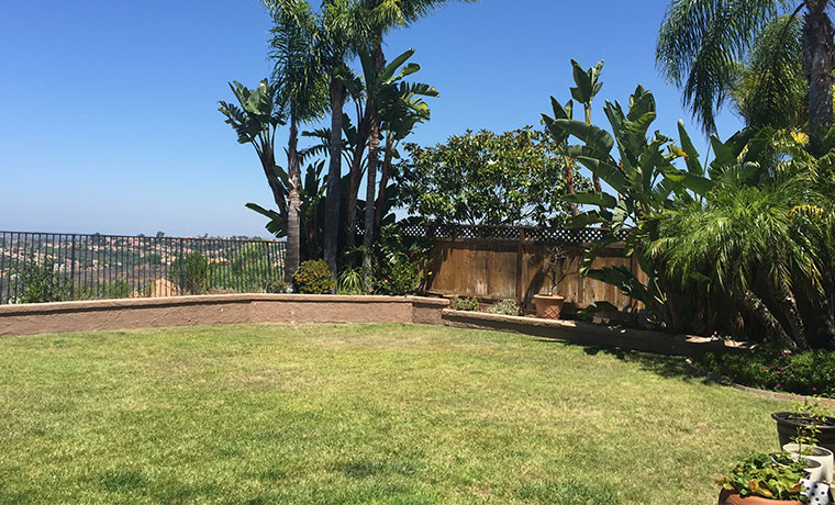 Buy Artificial Grass | National Synthetic Turf Supplier