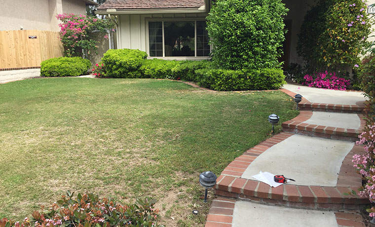 Buy Artificial Grass | National Synthetic Turf Supplier