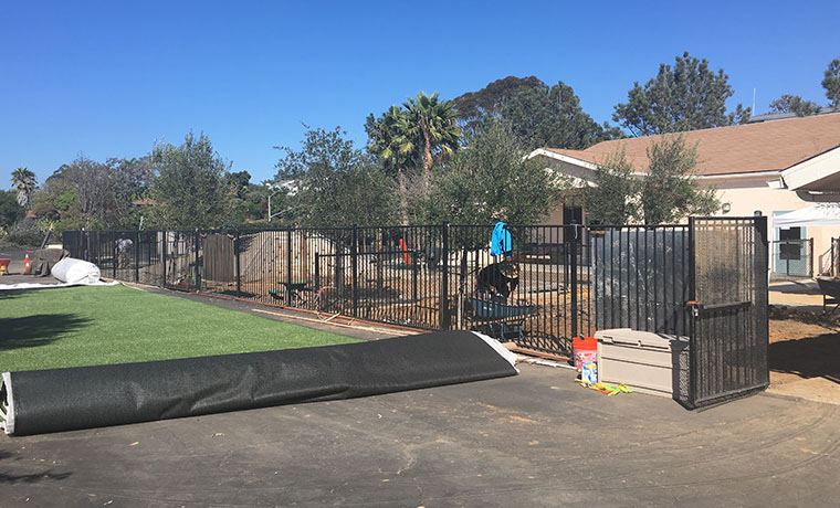 Buy Artificial Grass | National Synthetic Turf Supplier