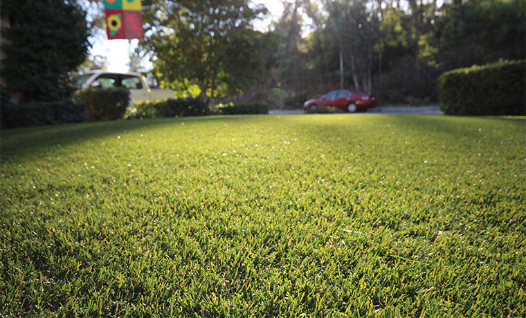 Buy Artificial Grass | National Synthetic Turf Supplier
