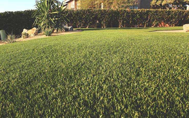 Buy Artificial Grass | National Synthetic Turf Supplier