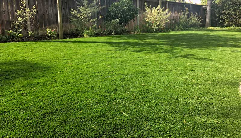 Buy Artificial Grass | National Synthetic Turf Supplier