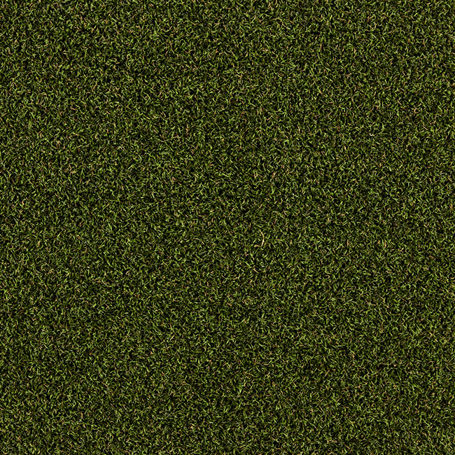 Buy Artificial Grass | National Synthetic Turf Supplier