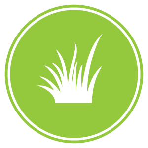 Buy Artificial Grass | National Synthetic Turf Supplier