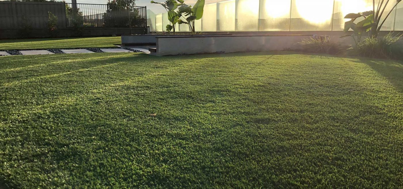 Buy Artificial Grass | National Synthetic Turf Supplier