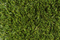Torrey Pines 75 (pre-cuts) - Small