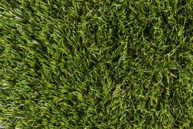 Torrey Pines 75 (pre-cuts) - Medium
