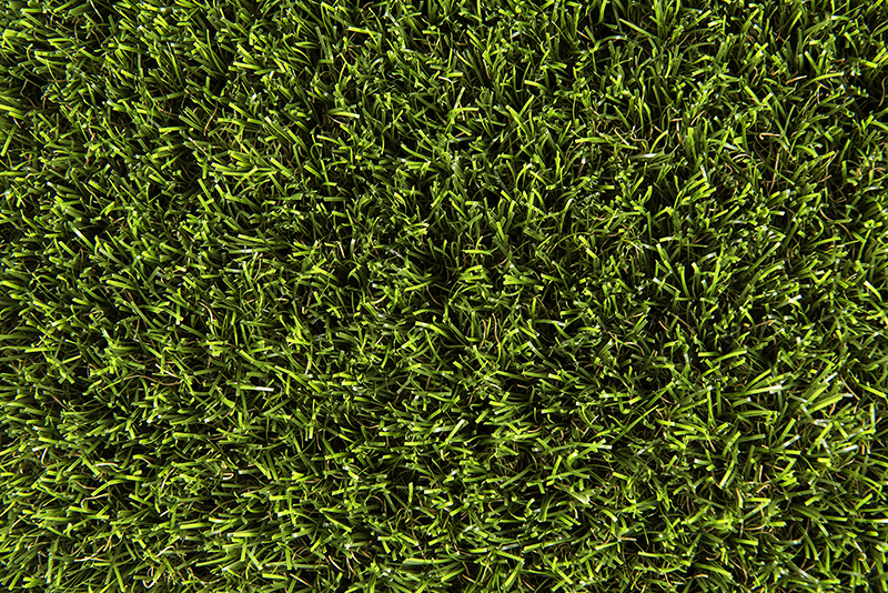 Buy Artificial Grass | National Synthetic Turf Supplier