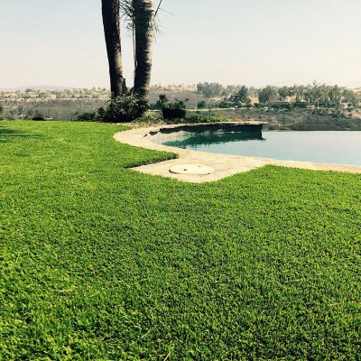 artificial-grass-around-pool