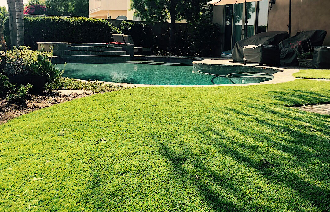 Buy Artificial Grass | National Synthetic Turf Supplier