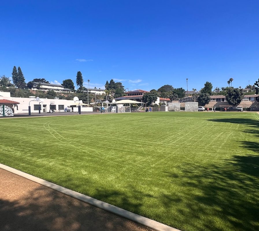 Buy Artificial Grass | National Synthetic Turf Supplier