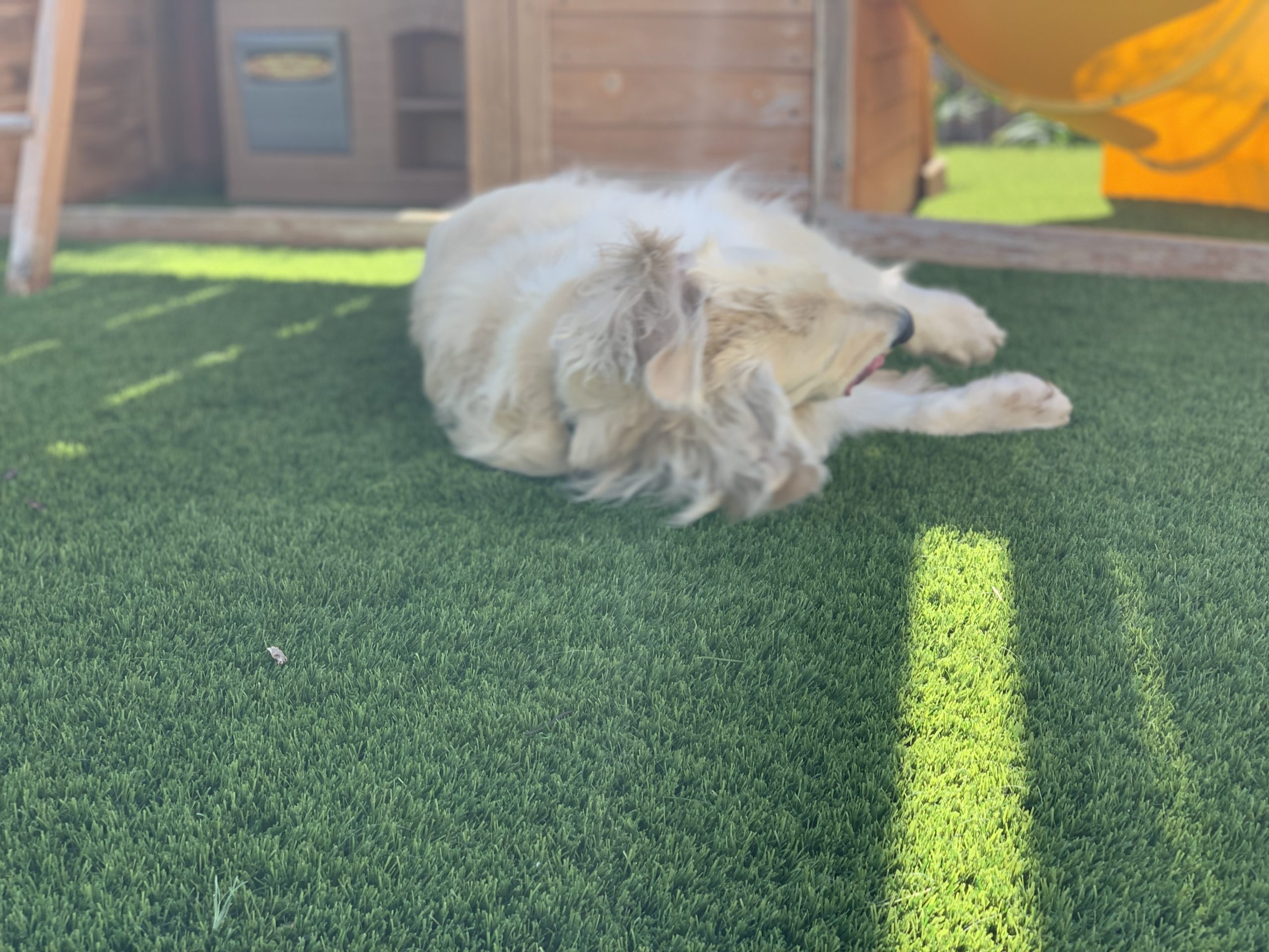 Buy Artificial Grass | National Synthetic Turf Supplier