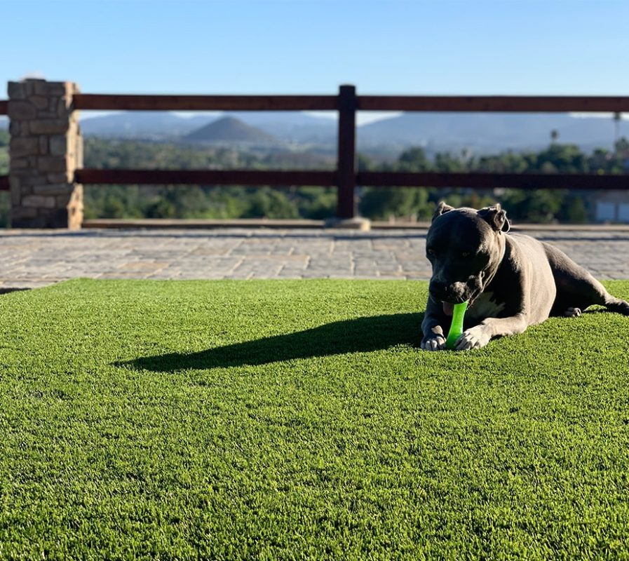 Buy Artificial Grass | National Synthetic Turf Supplier
