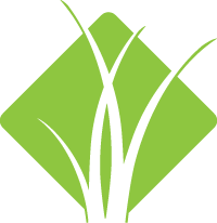 Buy Artificial Grass | National Synthetic Turf Supplier