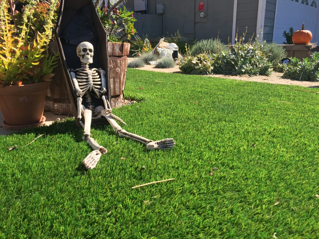 Buy Artificial Grass | National Synthetic Turf Supplier