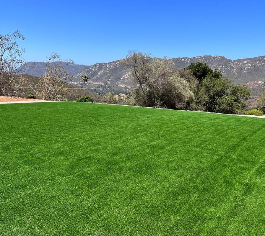 Buy Artificial Grass | National Synthetic Turf Supplier