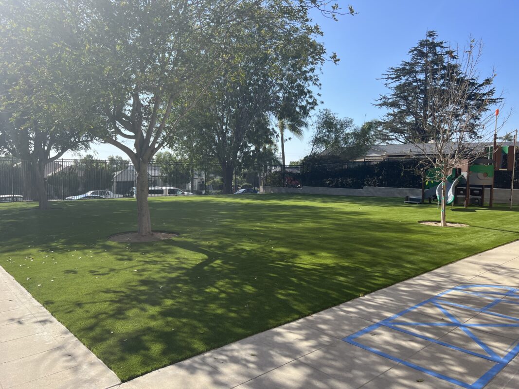 Buy Artificial Grass | National Synthetic Turf Supplier