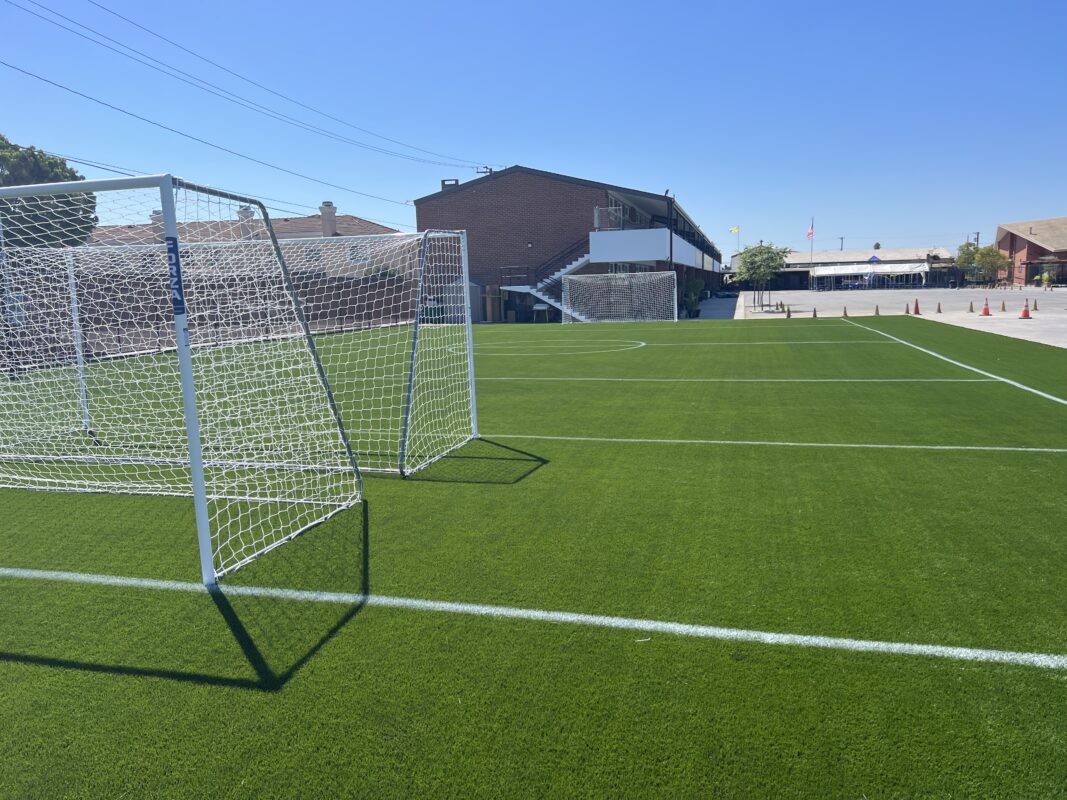 Buy Artificial Grass | National Synthetic Turf Supplier