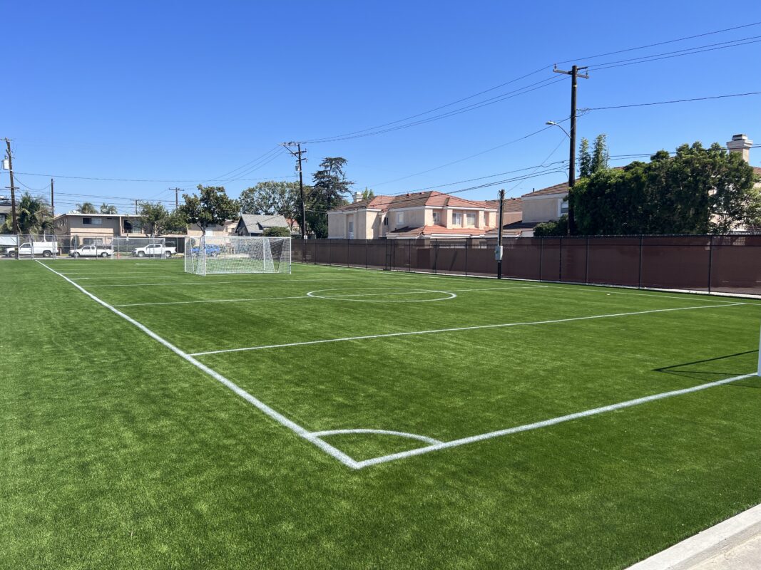Buy Artificial Grass | National Synthetic Turf Supplier