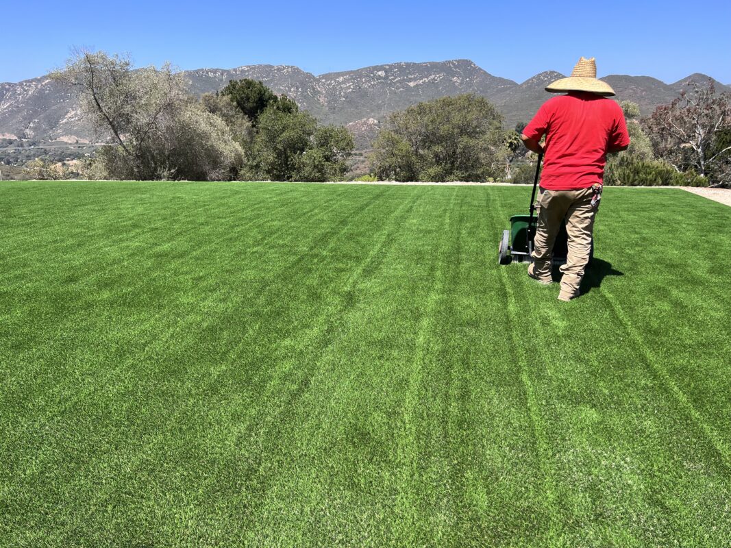 Buy Artificial Grass | National Synthetic Turf Supplier