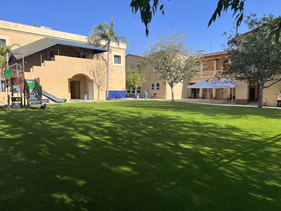 Buy Artificial Grass | National Synthetic Turf Supplier