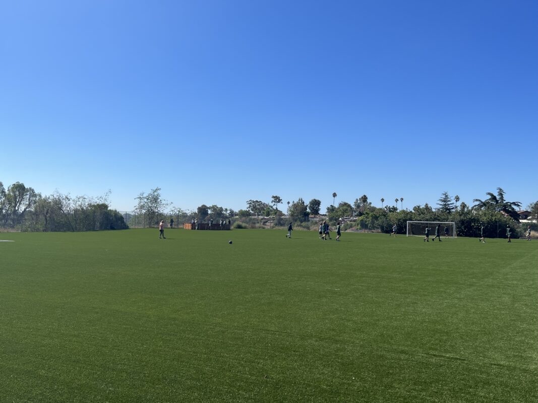 Buy Artificial Grass | National Synthetic Turf Supplier